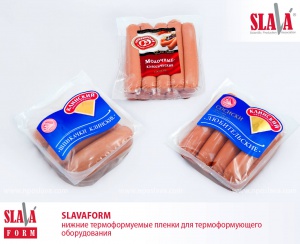 SlavaForm01