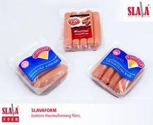 SlavaForm01eng