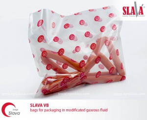 SlavaVB01eng